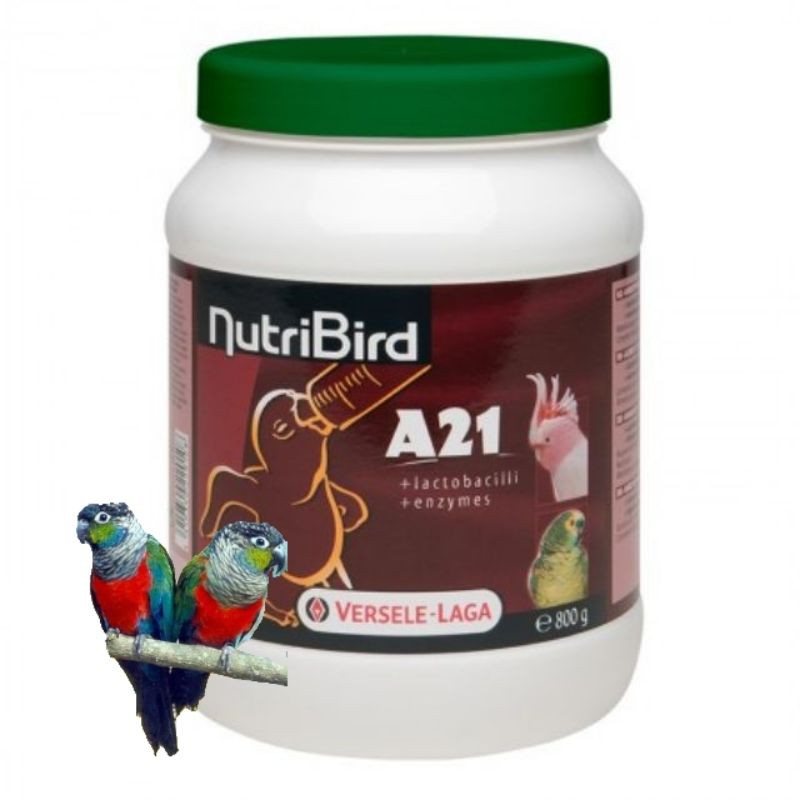 Nutribird อาหารนกลูกป้อนสูตรนกทั่วไป Nutribird A21 (Bird), 800g.