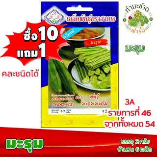 (ซื้อ10แถม1) เมล็ดพันธุ์ มะรุม Drumstick ประมาณ 6เมล็ด 3A สามเอ ผักสวนครัว เมล็ดพันธุ์พืช เมล็ดผัก เม็ดผัก พืชผัก