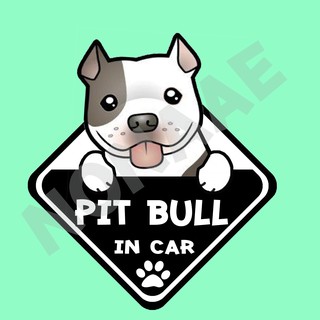 สติ๊กเกอร์ติดรถยนต์ DIC64 สติ๊กเกอร์ ติดรถ Pit bull Dog In Car สติ๊กเกอร์ติดรถ car sticker