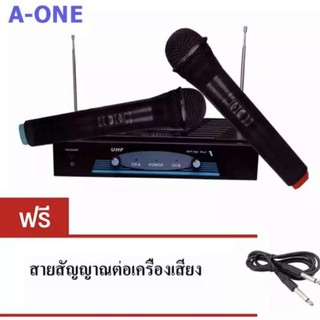 ไมโครโฟนไร้สาย ไมค์ลอยคู่ WIRELESS MICROPHONE รุ่น RY-2002 ฟรีสายสัญญาณเสียง