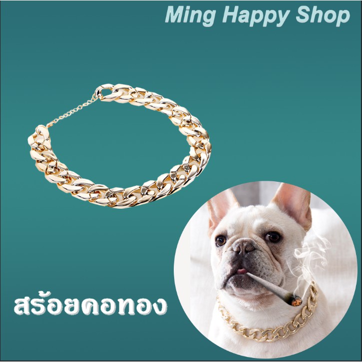 Ming สร้อยคอสำหรับสัตว์เลี้ยง สร้อยคอทองสำหรับสัตว์เลี้ยง สร้อยคอหมา/แมว พร้อมส่ง