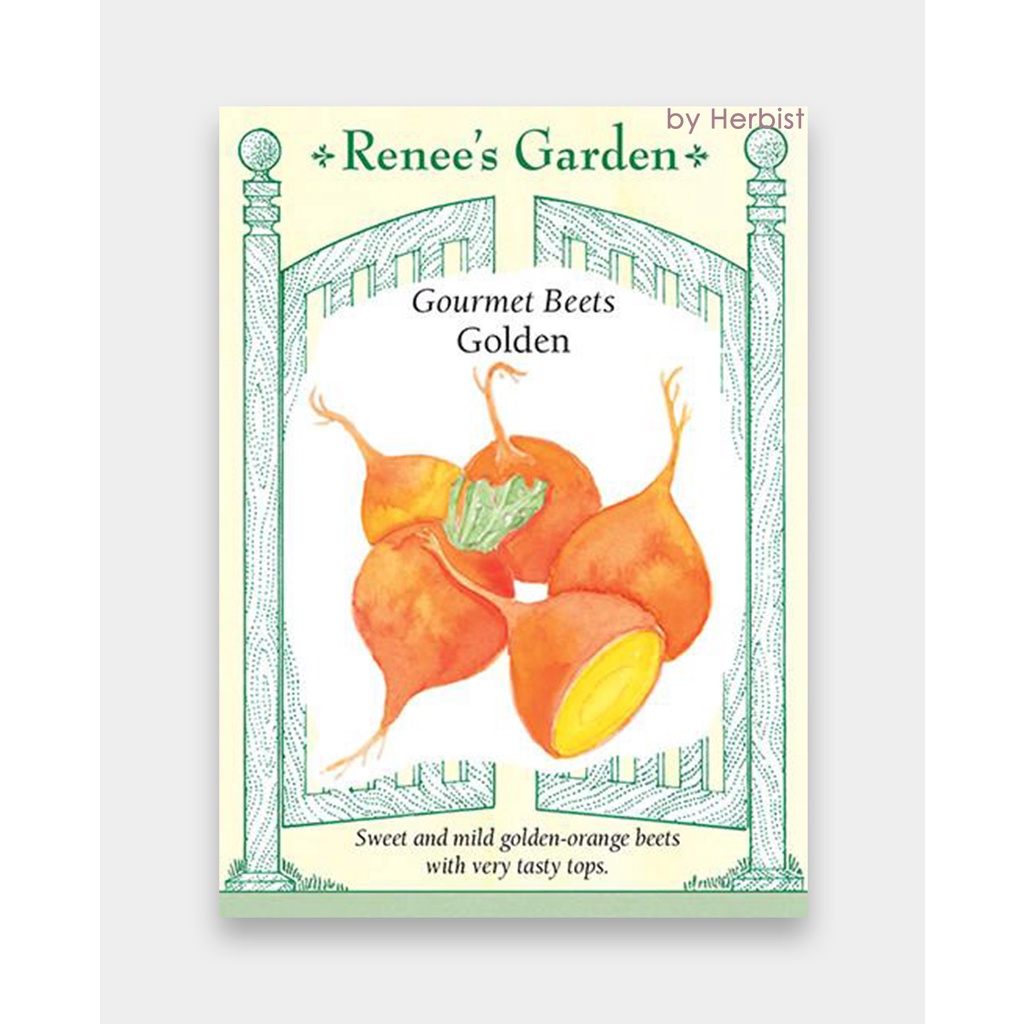 เมล็ดพันธุ์ ผักสวนครัว บีท Golden Gourmet Beets