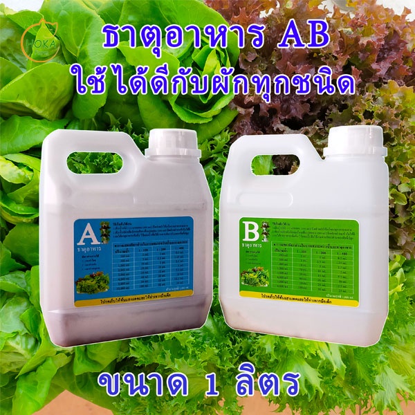 ธาตุอาหาร A B ขนาด 1 ลิตร บรรจุในแกลลอน
