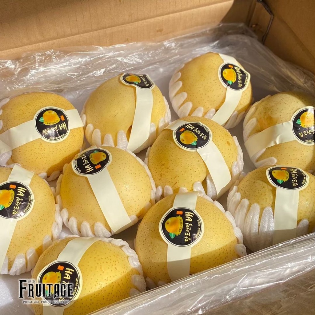 สาลี่ทอง (CHN) (ยกลัง20ลูก)  Premium Chinese Pears หอม หวาน อร่อย!ผลไม้ต่างประเทศ ผลไม้นำเข้า (ขายส่