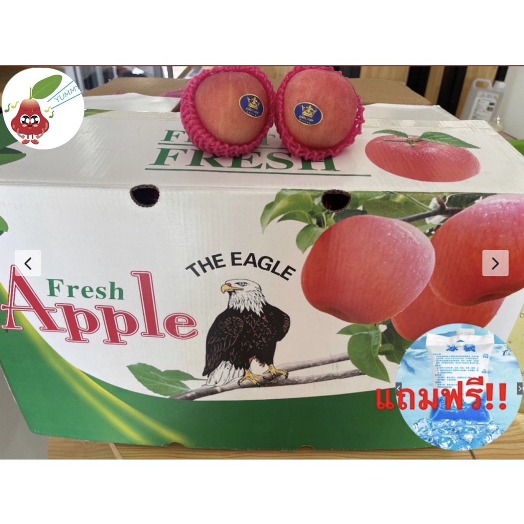 แอปเปิ้ลฟูจิ (ยกลัง) APPLE FUJI (CHN) ลดพิเศษ ผลไม้สด แอปเปิ้ลสด ผลไม้ต่างประเทศ ผลไม้พรีเมี่ยม ขายส