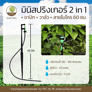 มินิสปริงเกอร์ 2in1+ขาปัก+วาล์ว+สายไมโคร 60 ซม. - โตไว