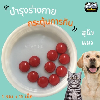 วิตามินบำรุงร่างกาย  กระตุ้นการกิน เสริมวิตามิน (โปรดอ่านรายละเอียดก่อนสั่งนะคะ)