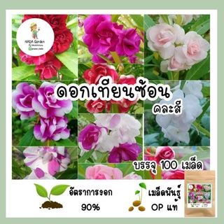 เมล็ดพันธุ์ เทียนซ้อน 100เมล็ด คละสี