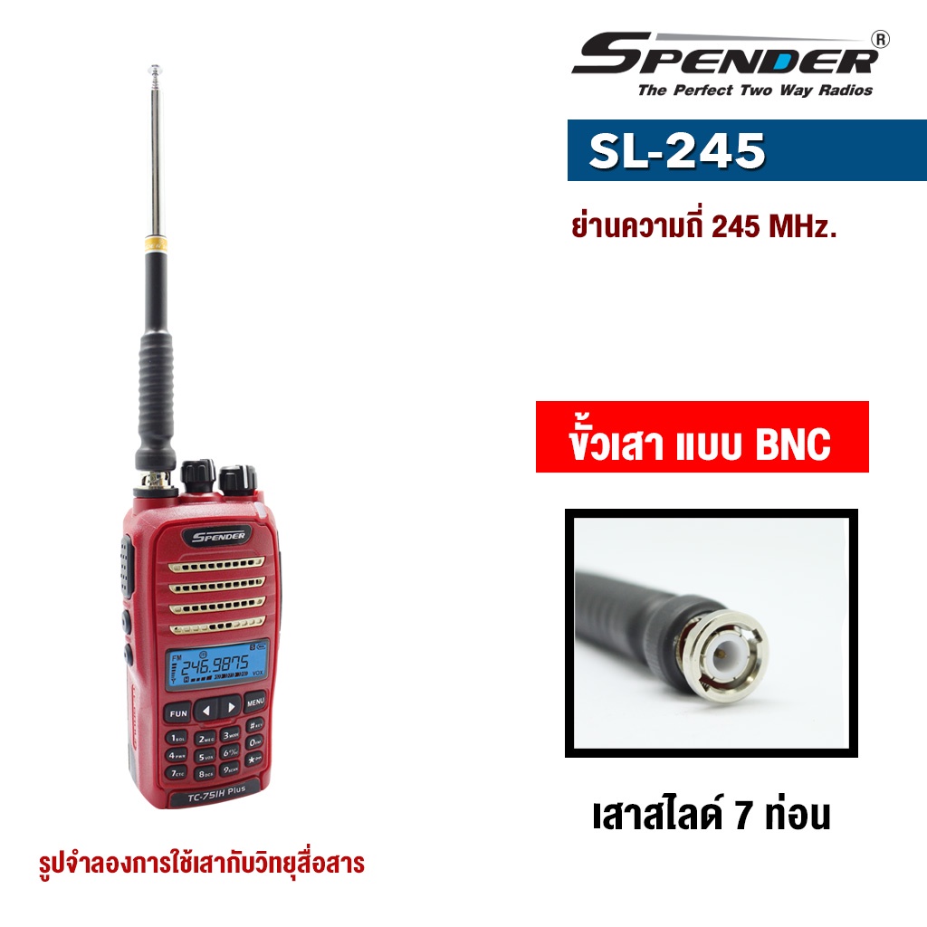 รูปภาพ 3