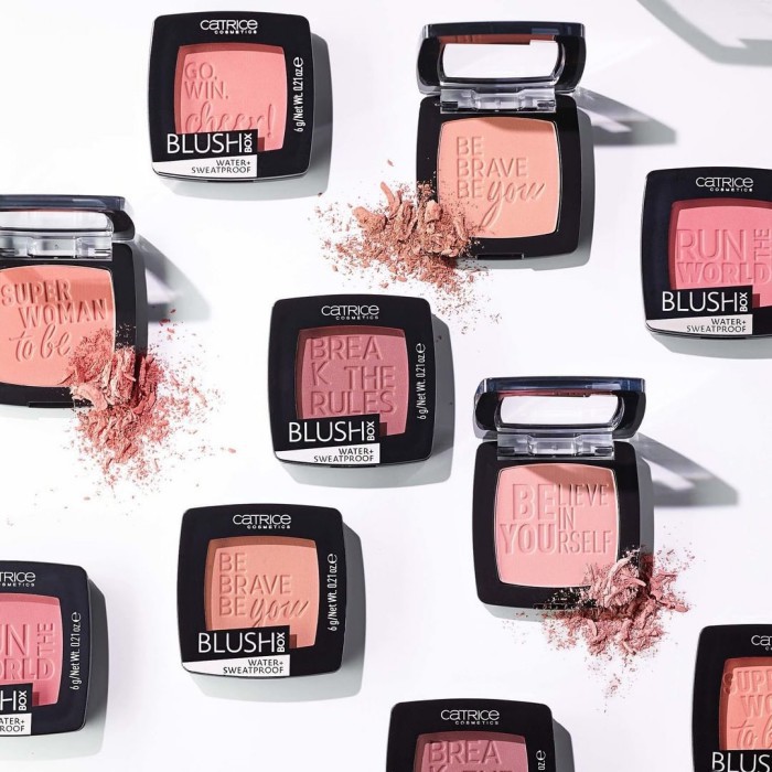 Catrice Blush Box - คาทริซบลัชบ็อกซ์