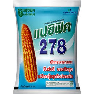 เมล็ดพันธุ์ข้าวโพดเลี้ยงสัตว์ลูกผสม ตราแปซิฟิค278