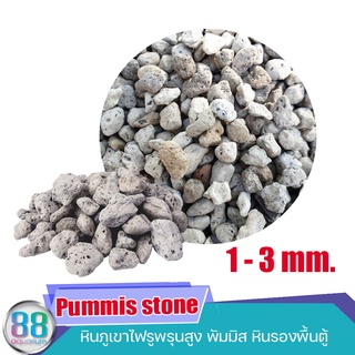 พัมมิส หินภูเขาไฟ รองพื้นตู้ Pummis stone 1 Kg.