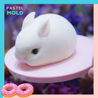 Mold Pastel พิมพ์ซิลิโคนกระต่ายน่ารัก ทำวุ้น ช๊อคโกแลต ตกแต่งเทียนหอม สุดปัง สุดน่ารักมาก รีบมาตำกันนะจ๊ะ