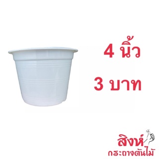 กระถางแคคตัส 4 นิ้ว สีขาว