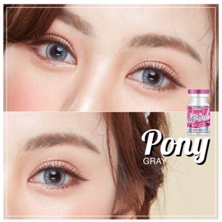 บิ๊กอาย คอนแทคเลนส์ รุ่น pony Gray ยี่ห้อ Wink lens สายตา -2.00 พร้อมส่ง