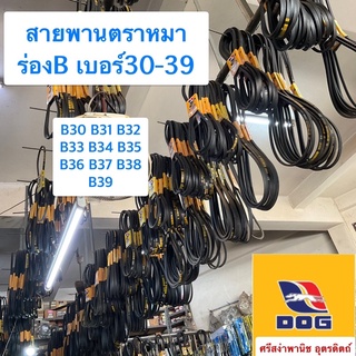 สายพานตราหมา ร่องB เบอร์30-39 / B30, B31, B32, B33, B34, B35, B36, B37, B38, B39