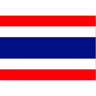 ขนาด 80x120 ซม. ธงชาติ ธงธรรมจักร ธงรัชกาลที่10 ธงราชินีสุทิดา  ขายยกแพค 1 แพค มี 50 ผืน ราคาถูก สินค้ามีพร้อมส่งตลอด