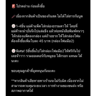ข้าวต้มมัดเวียดนาม/ บั๋นจึง/Bánh Chưng/ ข้าวต้มมัดญวน