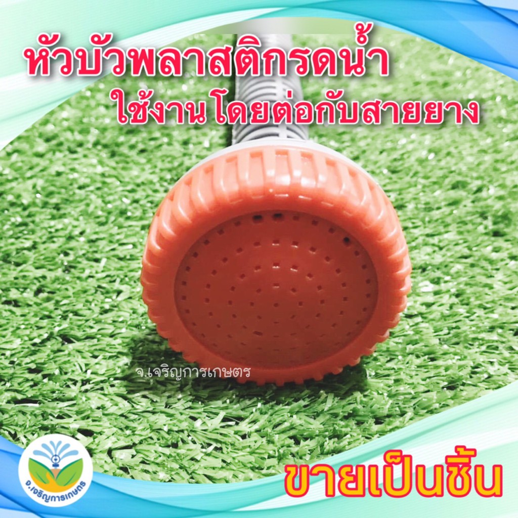 ฝักบัวรดน้ำ หัวบัวพลาสติกรดน้ำ บัวรดน้ำ บัวรดน้ำต่อสายยาง