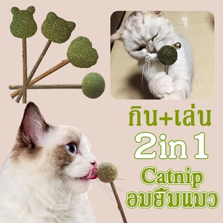 พร้อมส่ง！！2in1 แคตนิปแมว catnip อมยิ้มแมว ขนมแมวเลีย แคทนิปบอล ขัดฟันแมว ขัดฟันแมว แคตนิปแมว กัญชาหลอด