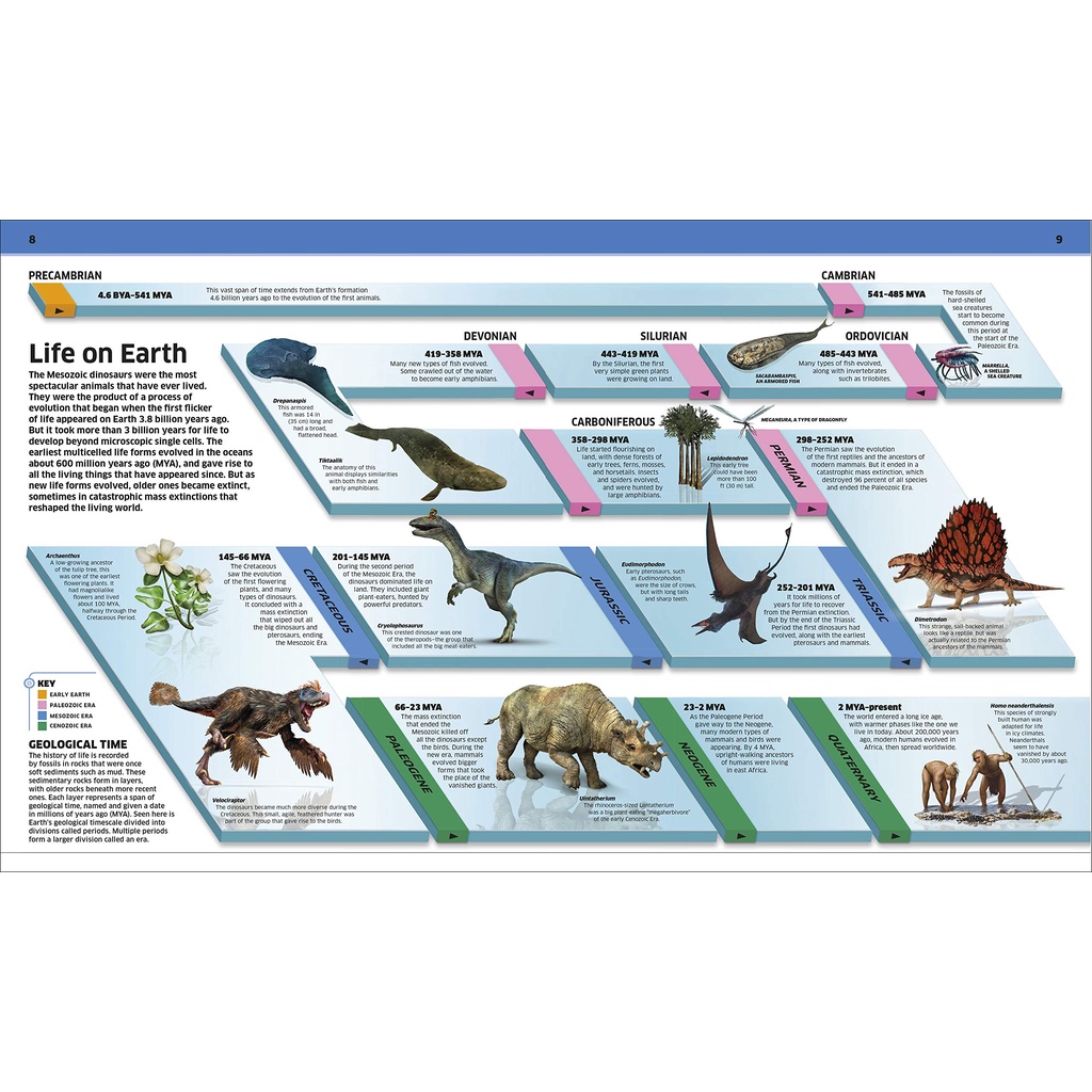 พร้อมส่ง ลิขสิทธิ์แท้ Dinosaur (Knowledge Encyclopedias) Hardcover ...