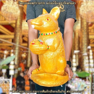 หนูมุสิกะขนาดใหญ่ สีทอง เหมาะตั้งบูชารบ้านที่มีพระพิฆเนศ เราสามารถกระซิบขอพรที่หูหนูมุสิกะได้เลย จะทำให้พรนั้นสำเร็จโดยง