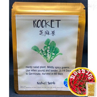 Vegetable Seeds - Rocket裙子/通心菜/生菜/芹菜/文胸/seeds/儿童/香菜/上衣/母婴//กุหลาบ U2TK