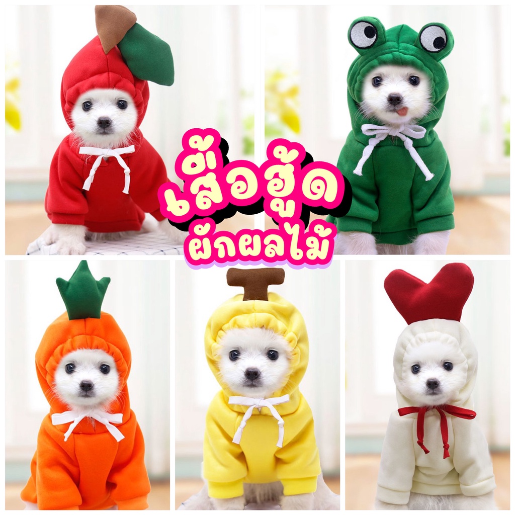 เสื้อฮู้ดผลไม้ เสื้อสัตว์เลี้ยง เสื้อฮู้ดมีหมวก ชุดหมาแฟนซี ชุดสัตว์เลี้ยง เสื้อมีหมวก