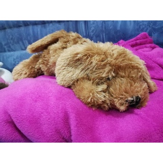 ตุ๊กตามือ2​  ขนาดประมาณ10นิ้ว