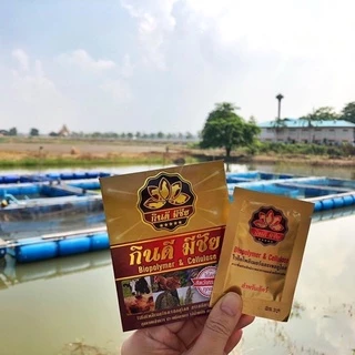กินดี มีชัย 1 ซอง อาหารเสริมสำหรับสัตว์ทุกชนิด (ซื้อ 10 ซอง แถม 2 ซอง!!) สินค้าของแท้ 💯