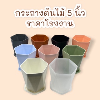 กระถางต้นไม้ แบบเหลี่ยม ขนาด 5 นิ้ว