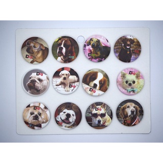 เข็มกลัด 3.2cm/4.4cm Animals สัตว์ หมา  dog  Badge