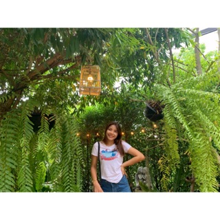 เสื้อผ้าแฟชั่น เดรส จั้ม