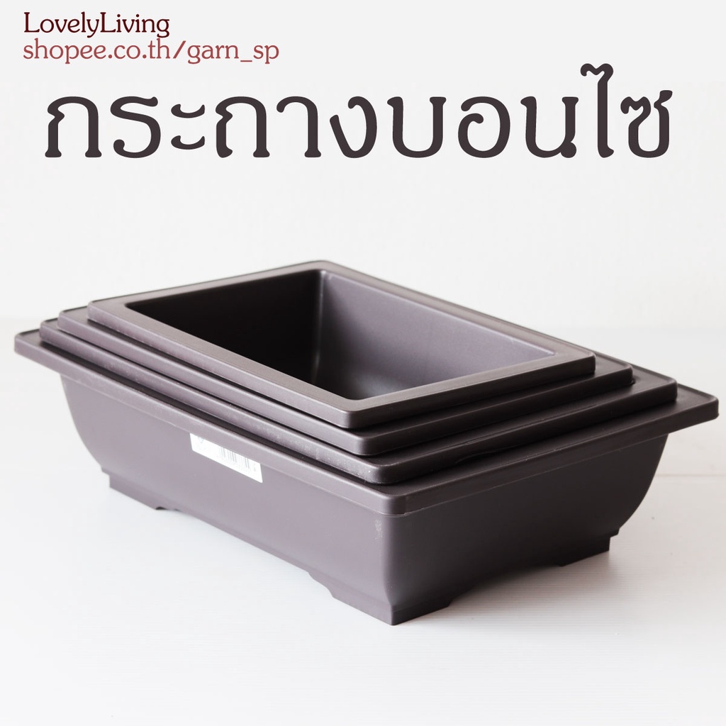 กระถางบอนไซ คุณภาพดี เกรดพรีเมี่ยม