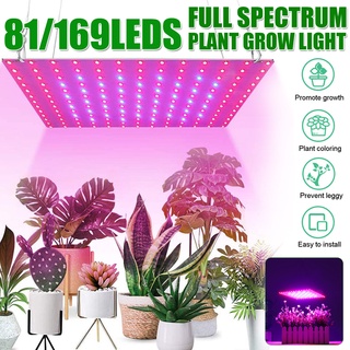 แผงไฟ 2000W 3000W LED AC85-240V สําหรับปลูกพืชในร่ม