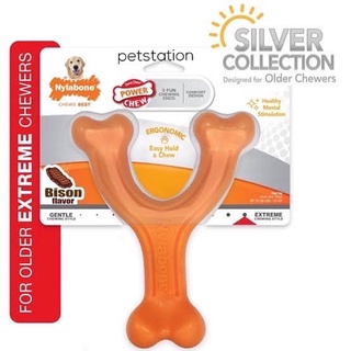 Nylabone Silver Collection Power Chew ของเล่นขัดฟัน