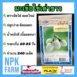 ผักซอง เจียไต๋ มะเขือไข่เต่าขาว จำนวน 240 เมล็ด/ซอง เมล็ดพันธุ์ ลอตใหม่ งอกดี ปลูกง่าย ติดผลดก เนื้อผลหนา น้ำหนักดี