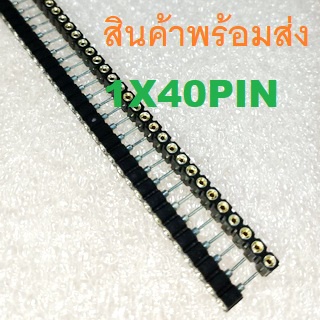 1ชิ้น Socket แถวเดี่ยว ซ็อกเก็ต รูกลม  P2.54mm 40Pin 40X1 Round Female Pin Header Connector
