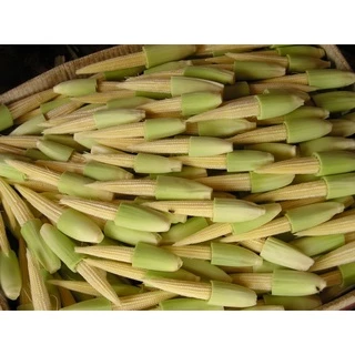ชุดข้าวโพด 🌽เมล็ดพันธุ์ข้าวโพดทุกสายพันธุ์🌽 2-20 เมล็ด ปลูกง่าย 🚜พันธุ์แท้🚜 ผลผลิตเร็ว ราคาถูก 9บ. [10 แถม1คละได้]