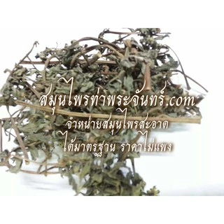 กะเม็งผง 125 กรัม 39 บาท ตัวเมีย < ราคาส่งสอบถาม > ผงกะเม็ง กะเม็งบดผง กะเม็ง