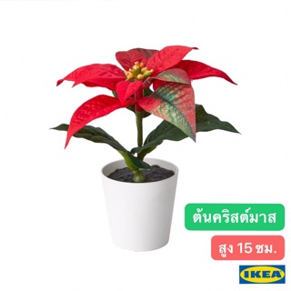 🎊สินค้าปีใหม่🎊IKEA ต้นคริสต์มาส ใบสีแดง ไซส์จิ๋วน่ารัก ต้นไม้ประดิษฐ์ ของตกแต่งเทศกาลปีใหม่