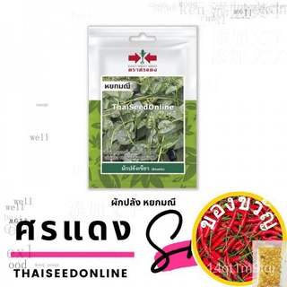 VP3 เมล็ดพันธุ์ ผักปลังเขียว หยกมณี 50เมล็ด ตราศรแดง ซอง 10บาท Ceylon Spinach Malabar spinach 1F5O