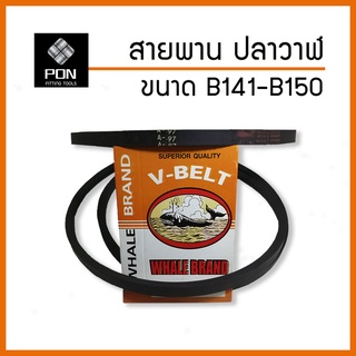 สายพาน B141 B142 B143 B144 ฺB145 B146 B147 B149 B150 สายพานร่องวี