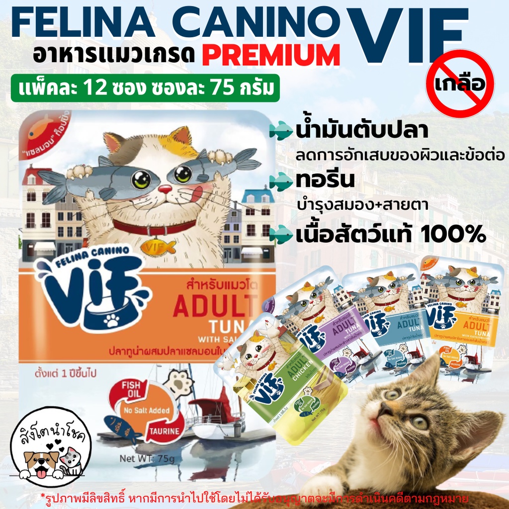 21B #มีโค้ดส่งฟรี 🐶🐱สิงโตนำโชค🐱🐶 [12ซอง] Felina Canino VIF Premium Cat อาหารแมว ซอง 75g เกรดพรีเมี่ย