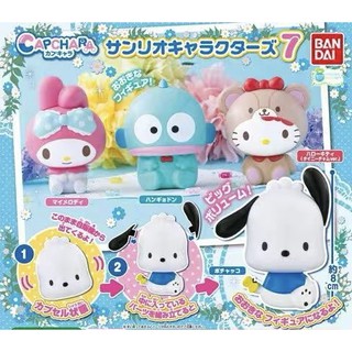 [พร้อมส่ง] กาชาปอง Sanrio Capchara Vol. 7 ของแท้ 🇯🇵 Hello Kitty Hangyodon My Melody Pochacco ซานริโอ Gachapon ซานริโอ้