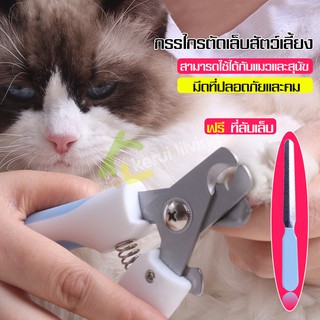 สินค้าใหม่ กรรไกร กรรไกรตัดเล็บสุนัข แมว พร้อมตัวบัง ป้องกันไม่ไห้ตัดเล็บลึกเกิน กรรไกรตัดเล็บหมา ที่ตัดเล็บหมา