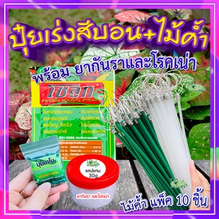 สารเร่งสีไม้ด่าง+กันรา+ไม้ค้ำ🍃ปุ๋ยเร่งสีบอน เงินไหล สีสวย สีเข้ม ใบเงา ต้นแข็งแรง ป้องกันกำจัดเชื้อรา โรคเน่า ไม้ทุกชนิด