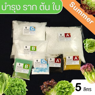 ปุ๋ย ABC Hydroponics Summer สำหรับผักไฮโดรโปนิกส์ ชุดทนร้อน ชนิดแห้ง ชุด 5 ลิตร ( A 5L ,B 5L และ C 5L) สูตรทานใบ