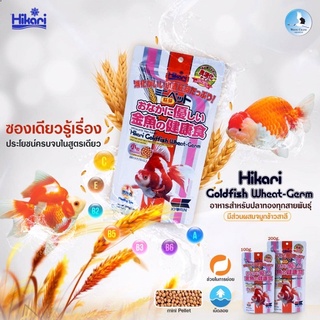 Hikari wheat germ 100g./200g. อาหารปลาทอง ช่วยย่อย เสริมภูมิคุ้มกัน เร่งสีขาว ฮิคาริ โกลด์ฟิช วีท-เจิร์ม