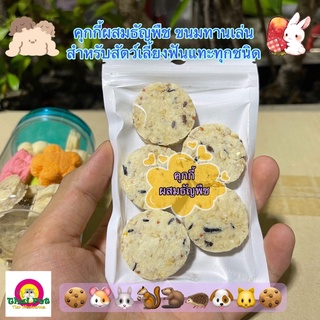 คุกกี้ 🍪 ผสมธัญพืช อาหาร ขนมทานเล่นสำหรับสัตว์เลี้ยงฟันแทะทุกชนิด